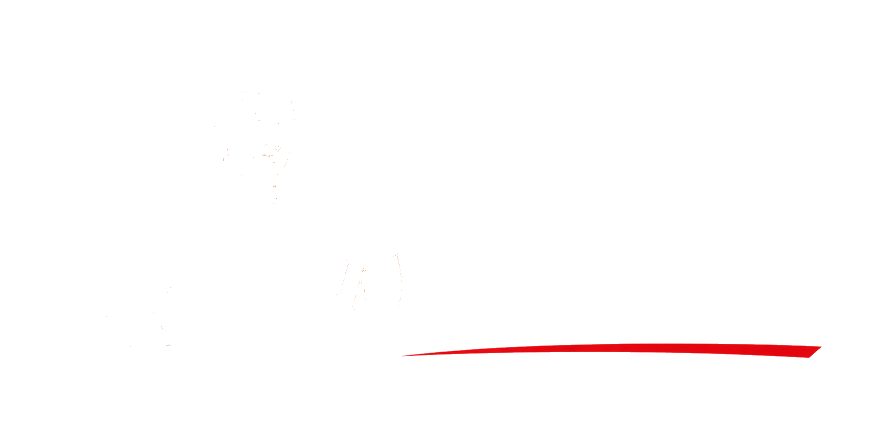 A1 Solar Cleaning